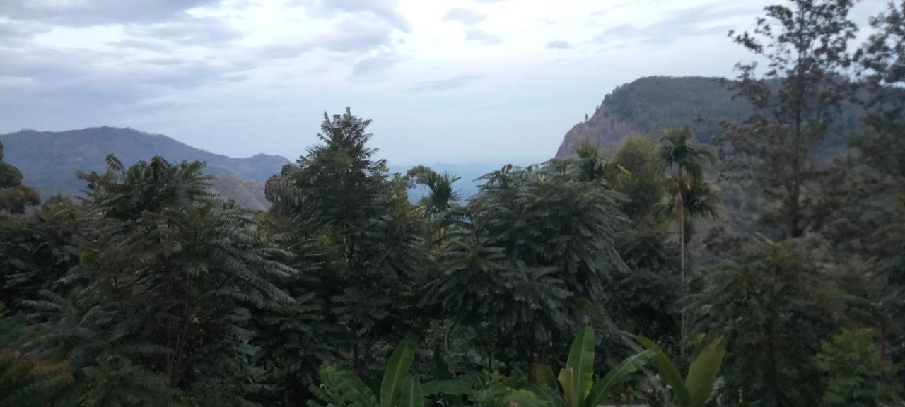 Mature Home 埃拉 外观 照片