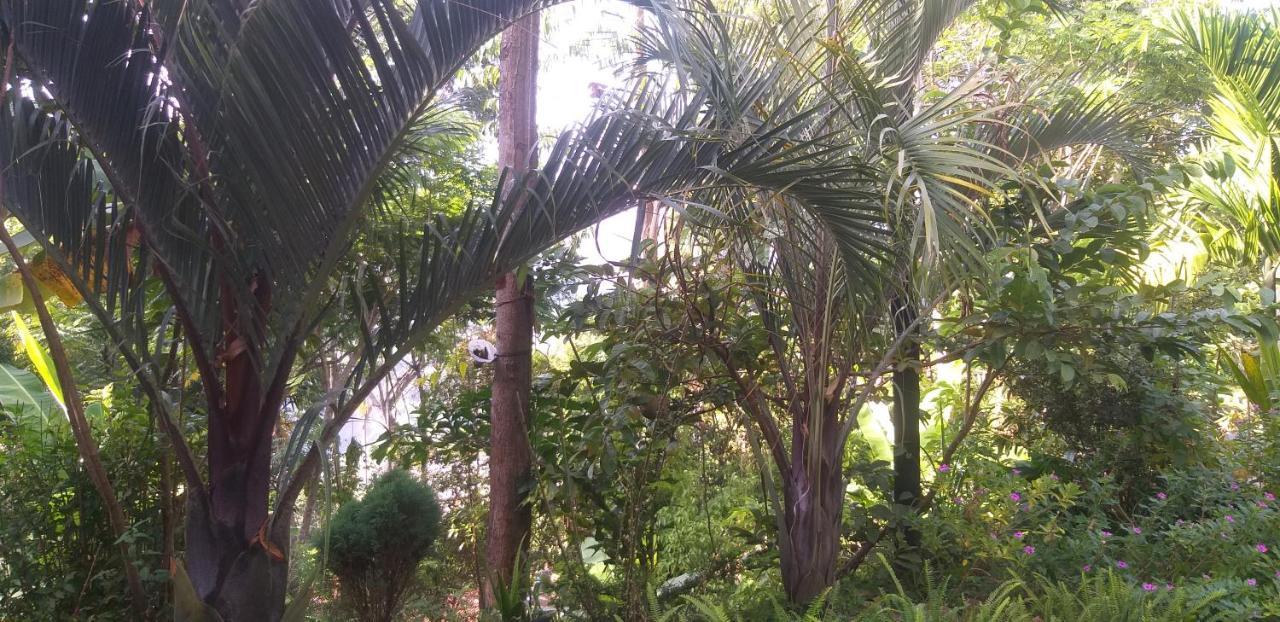 Mature Home 埃拉 外观 照片