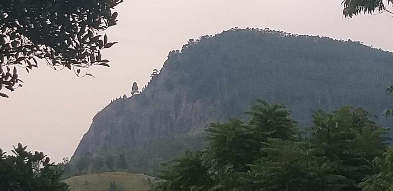 Mature Home 埃拉 外观 照片